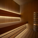 LED sauna lights