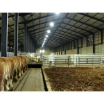 lumières LED agricole
