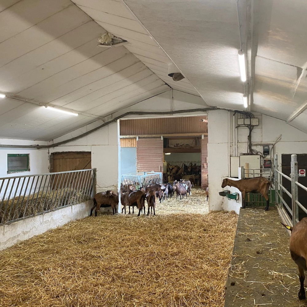 lumières LED agricole