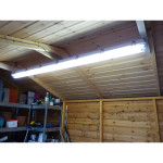 LED shed lights