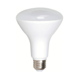 AMPOULE LED BR30 13W