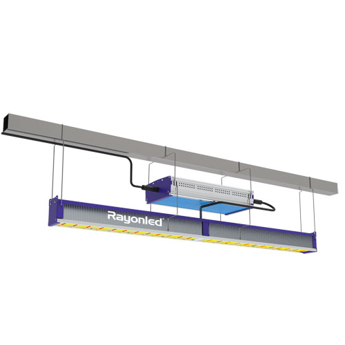 640W GREEN HOUSE LIGHT