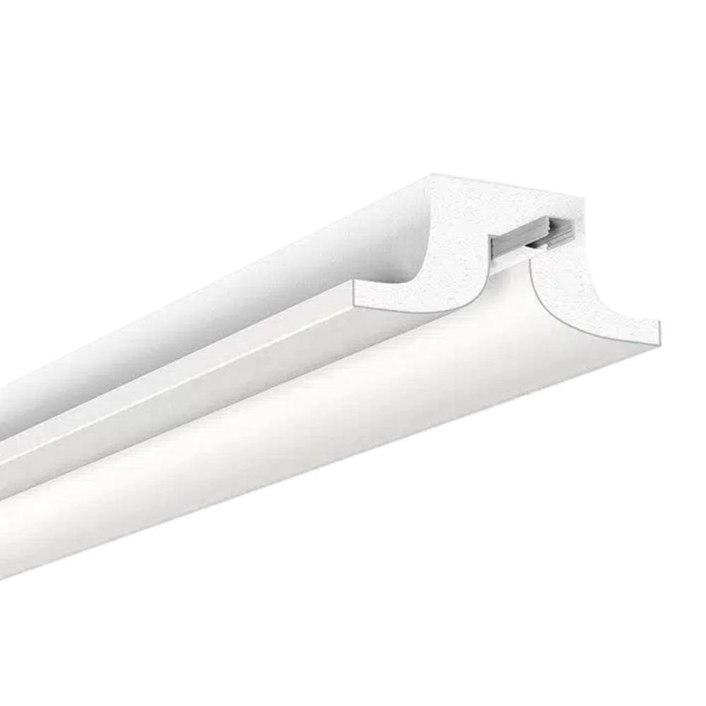 GYPSUM COVE - SULCUS