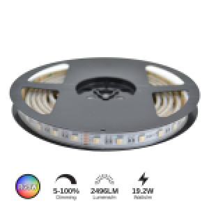 RUBAN LED 19.2W/M (RGBW)