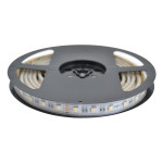 RUBAN LED 19.2W/M (RGBW)